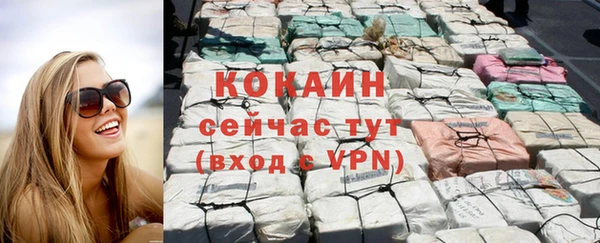 соль ск Арсеньев