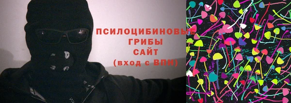 соль ск Арсеньев