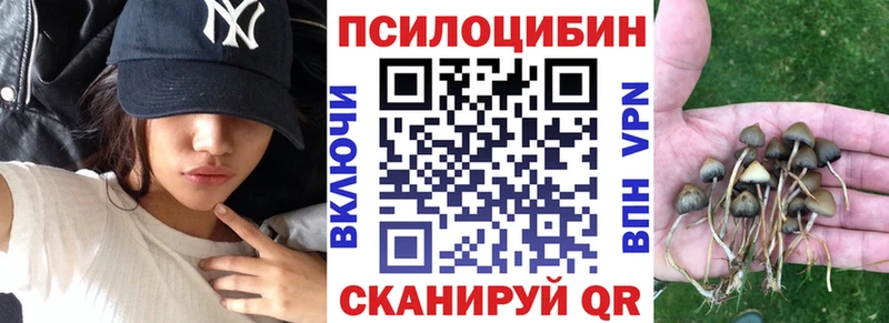 Псилоцибиновые грибы MAGIC MUSHROOMS Татарск
